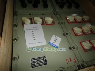BXMDG58防爆照明動力配電箱 能源領(lǐng)域的安全守護(hù)者